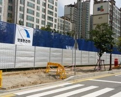보림